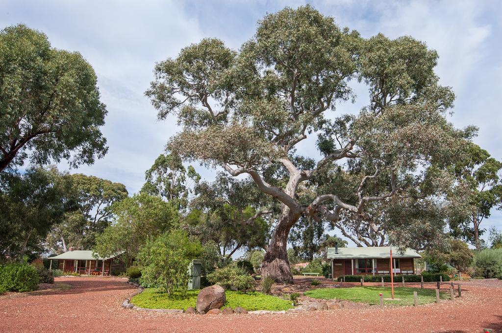 Southern Grampians Cottages Dunkeld Exterior foto